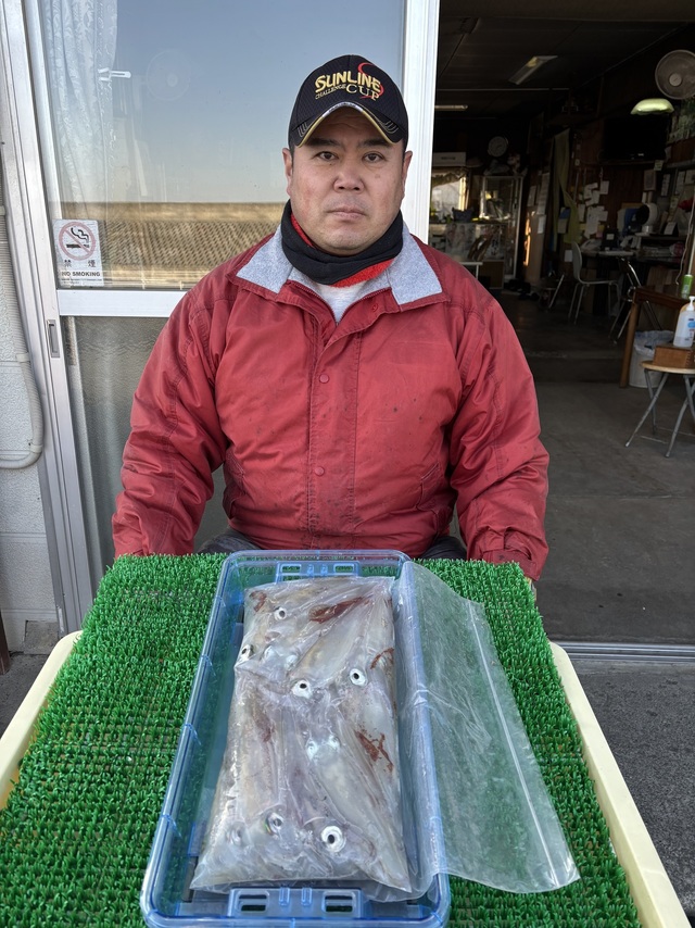 マルイカ(ケンサキイカ)