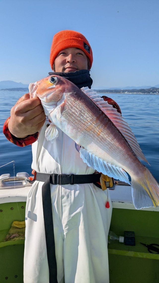 アマダイ(アカアマダイ)