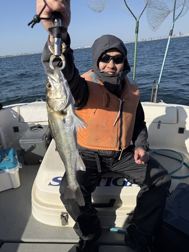 シーバス(スズキ)