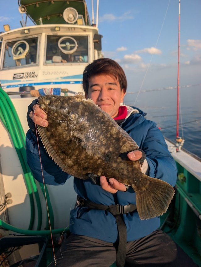 カレイ(マコガレイ)