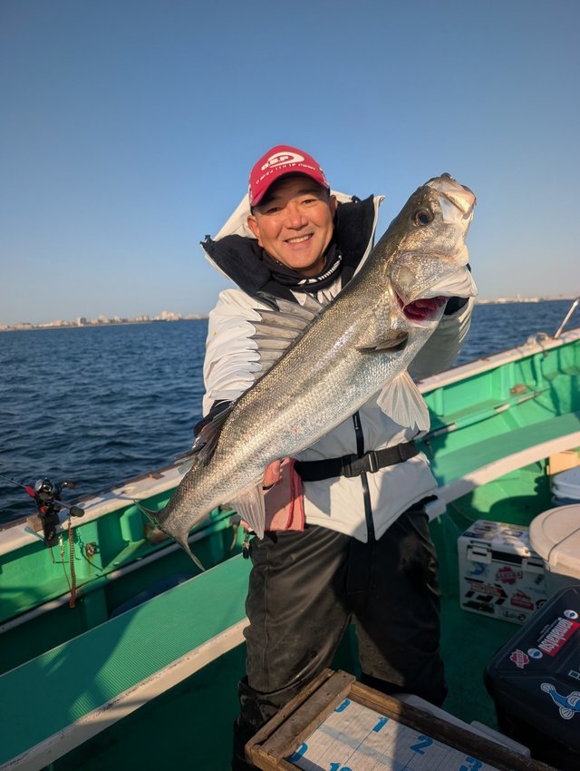 シーバス(スズキ)