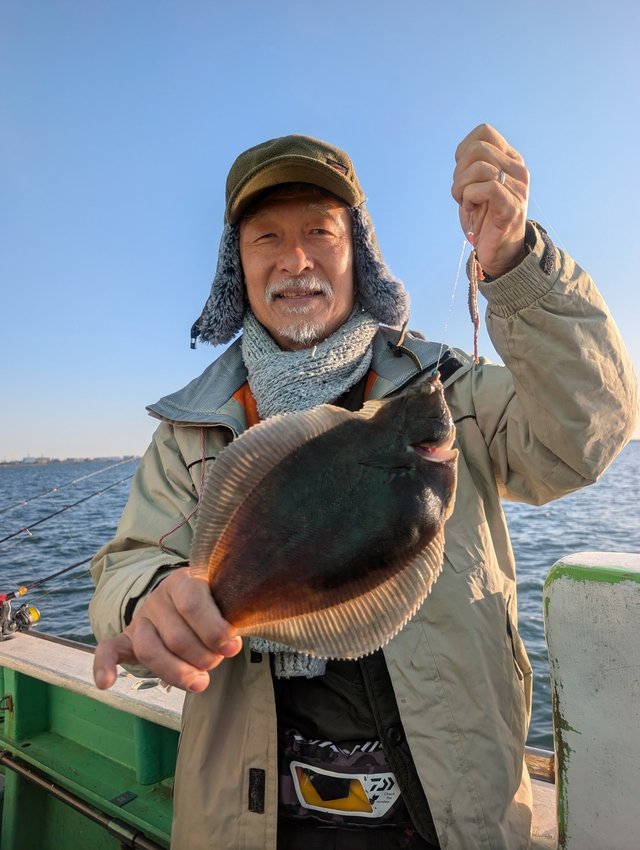 カレイ(マコガレイ)