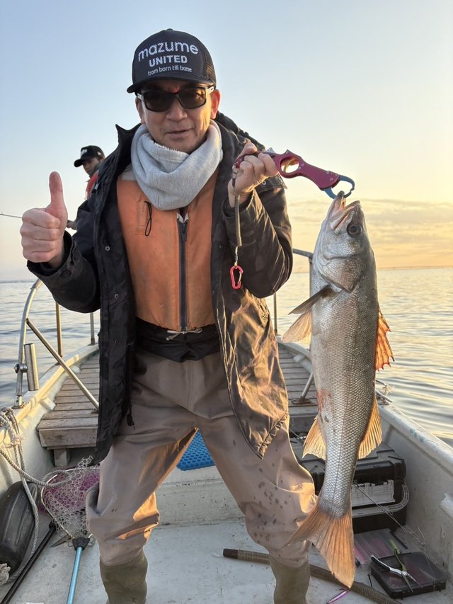 シーバス(スズキ)