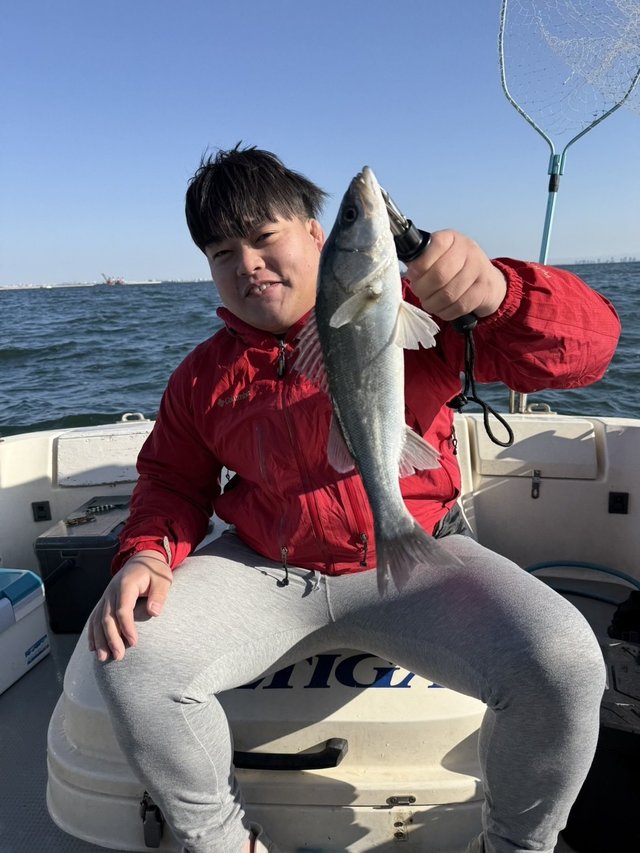 シーバス(スズキ)