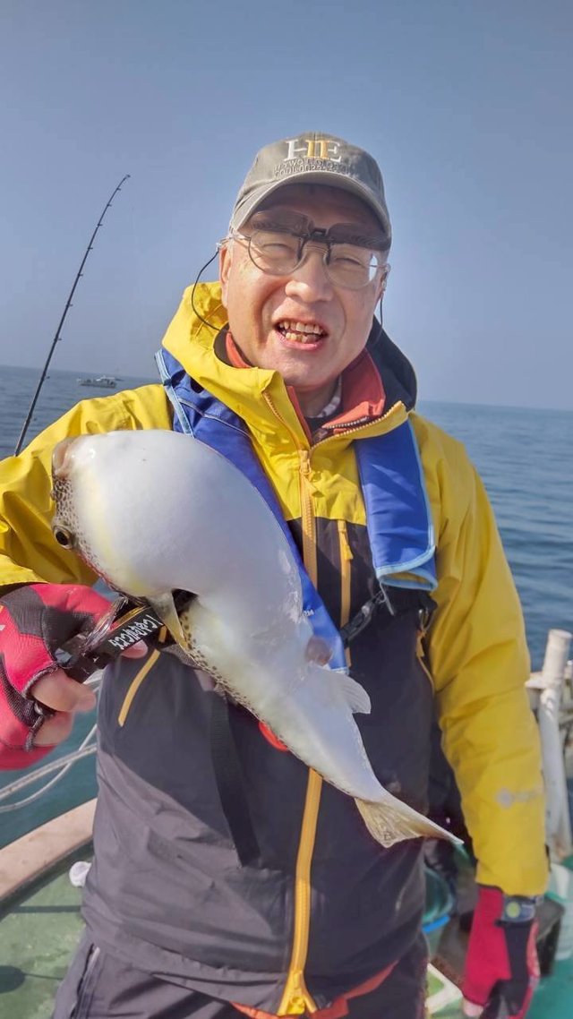 ショウサイフグ