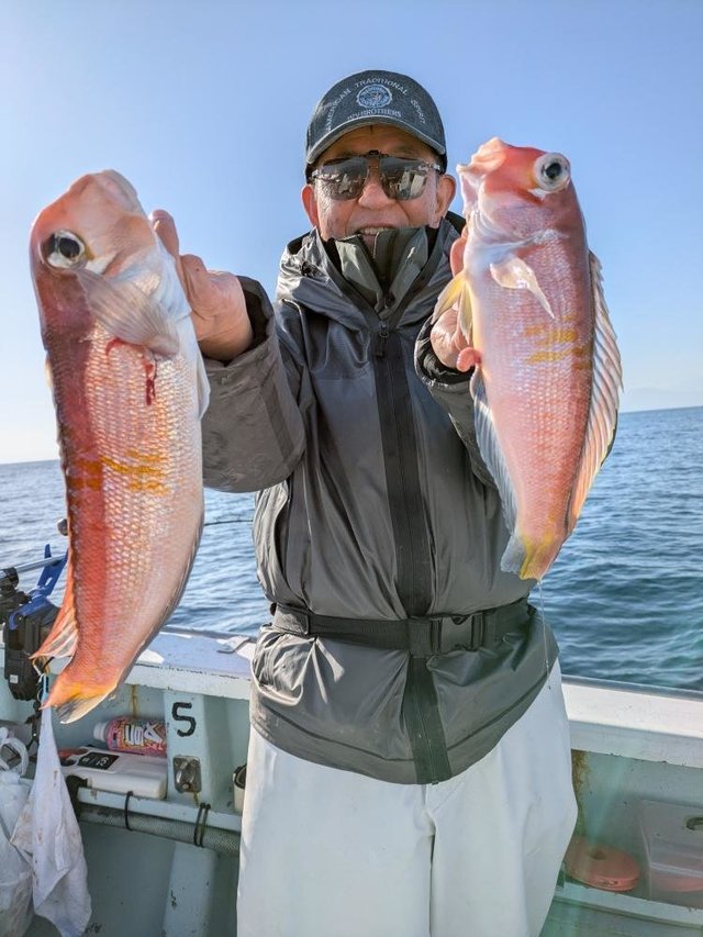 アマダイ(アカアマダイ)