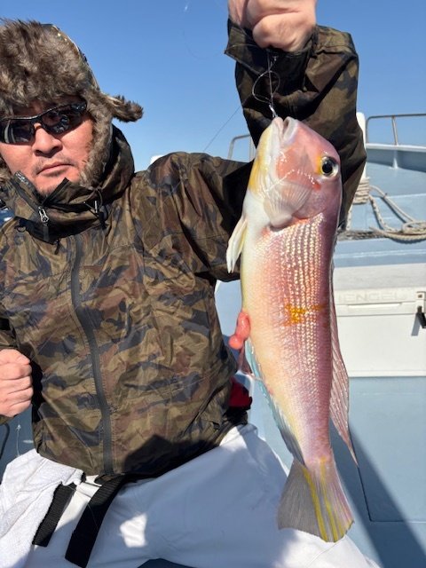 アマダイ(アカアマダイ)