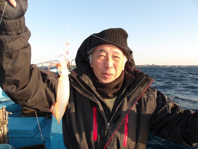 マルイカ(ケンサキイカ)