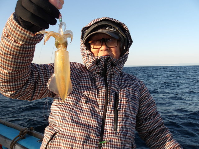 マルイカ(ケンサキイカ)