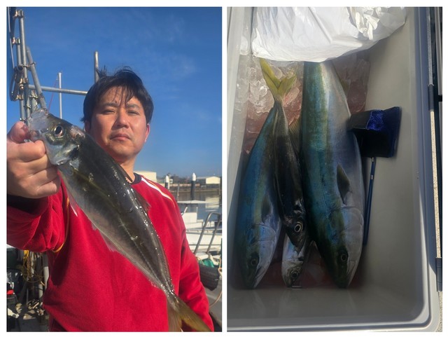 アジ(マアジ)・メジロ(ブリ)