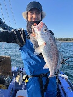 シロムツ(オオメハタ)