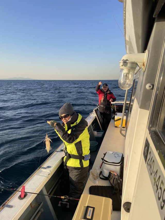 マルイカ(ケンサキイカ)