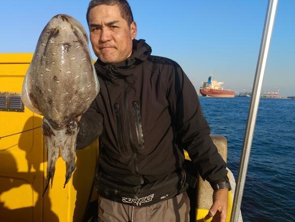 スミイカ(コウイカ)