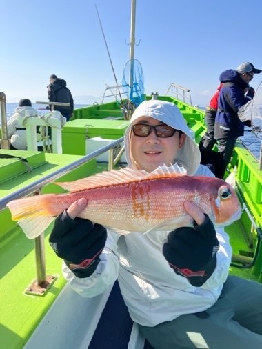 アマダイ(アカアマダイ)