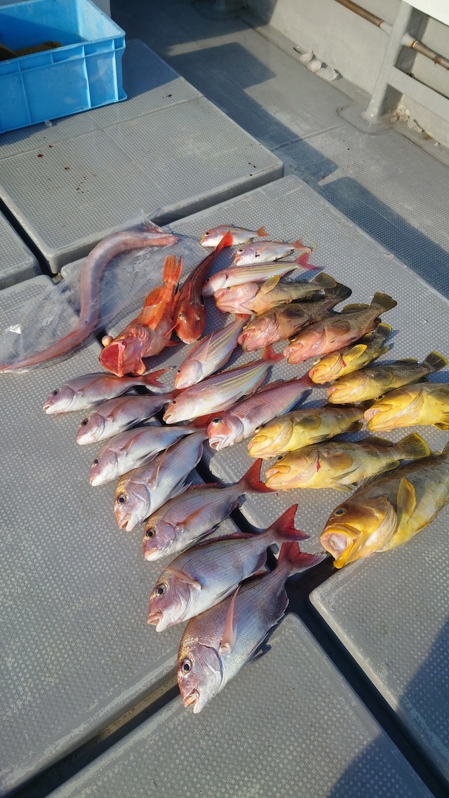 マダイ・アオナ(アオハタ)・アマダイ(アカアマダイ)