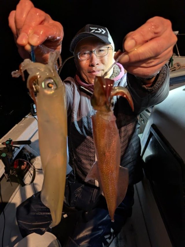 マルイカ(ケンサキイカ)・ヤリイカ