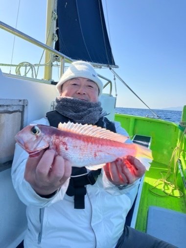 アマダイ(アカアマダイ)