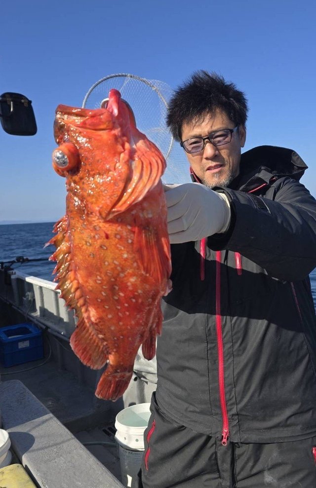 ウッカリカサゴ