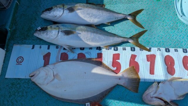 ワラサ(ブリ)・ヒラメ