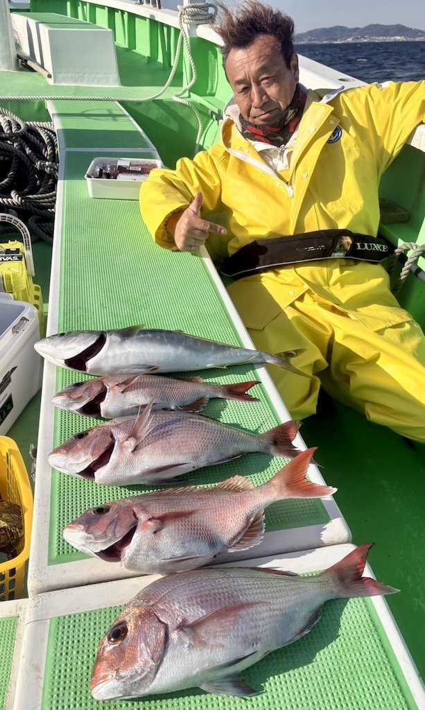 マダイ・イナダ(ブリ)