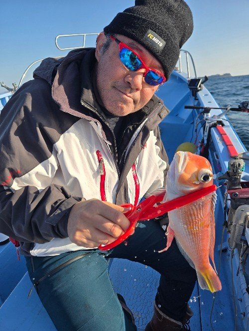 アマダイ(アカアマダイ)