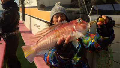 アマダイ(アカアマダイ)