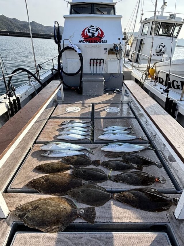 ブリ・サワラ・ヒラメ