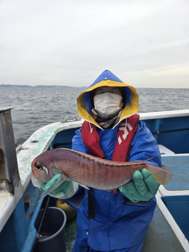 アマダイ(アカアマダイ)