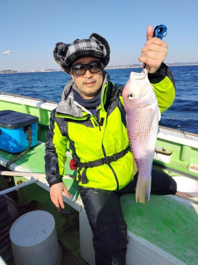 アマダイ(アカアマダイ)