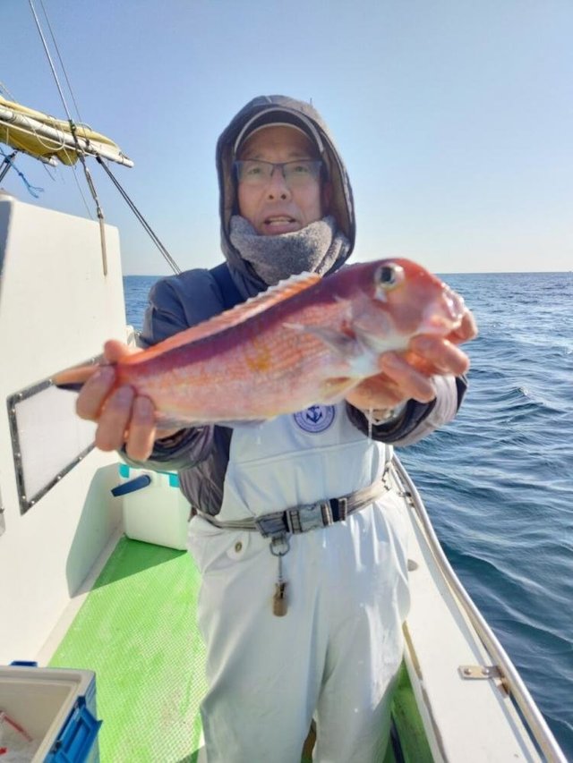 アマダイ(アカアマダイ)