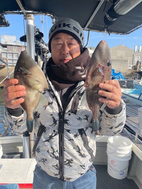 ウマヅラ(ウマヅラハギ)