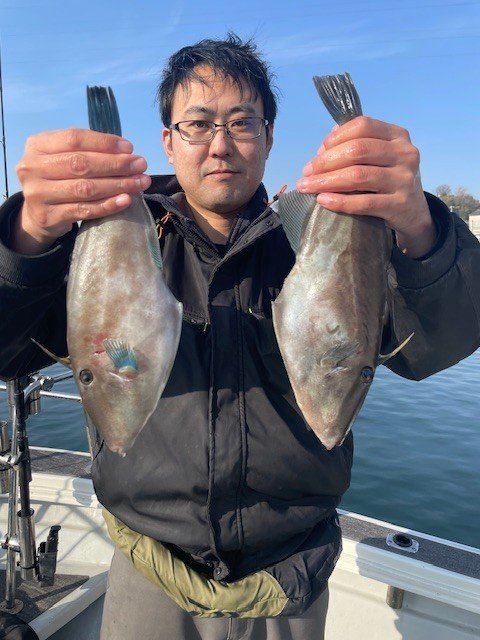 ウマヅラ(ウマヅラハギ)