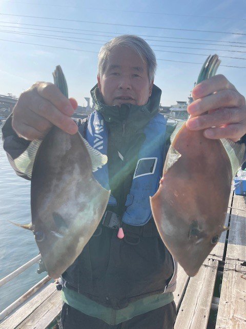 ウマヅラ(ウマヅラハギ)