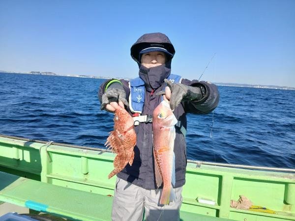 アマダイ(アカアマダイ)・オニカサゴ