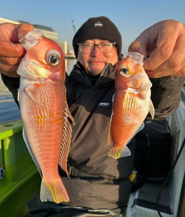 アマダイ(アカアマダイ)