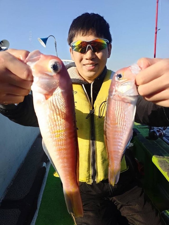 アマダイ(アカアマダイ)