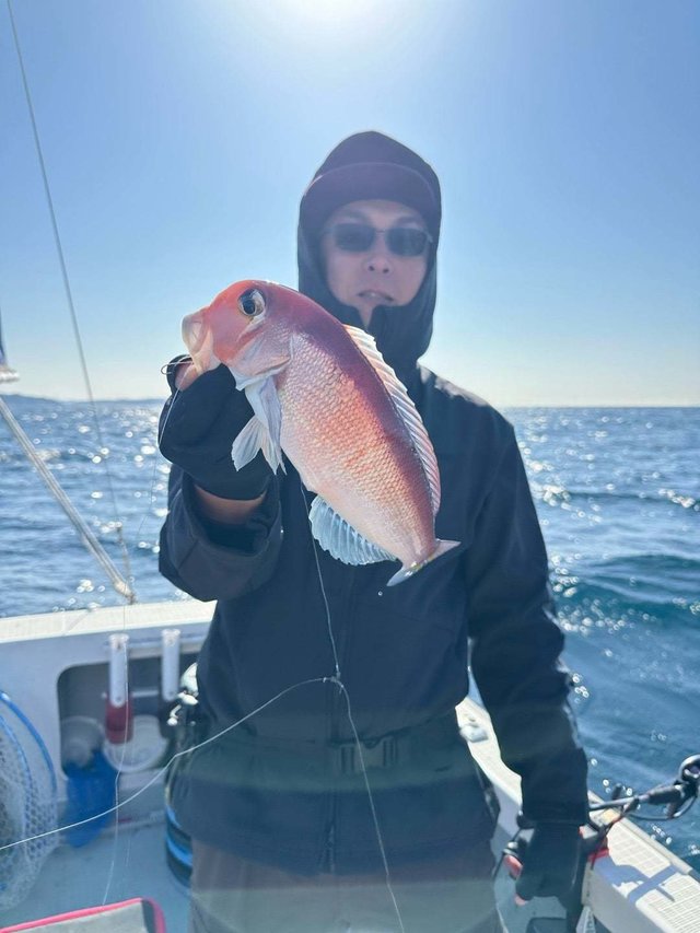 アマダイ(アカアマダイ)