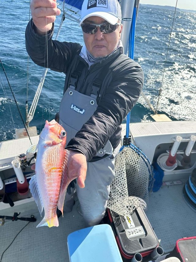 アマダイ(アカアマダイ)