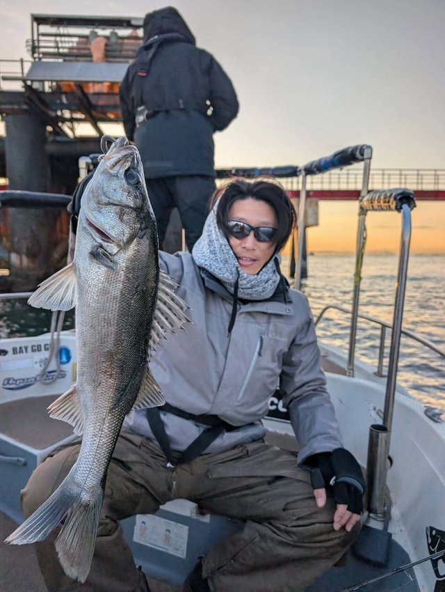 シーバス(スズキ)