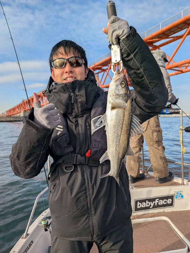 シーバス(スズキ)