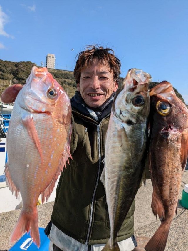 ハナダイ(チダイ)・アジ(マアジ)・メバル