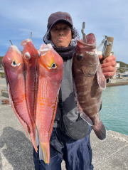 マハタ・アマダイ(アカアマダイ)