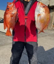 マダイ・キントキ(チカメキントキ)