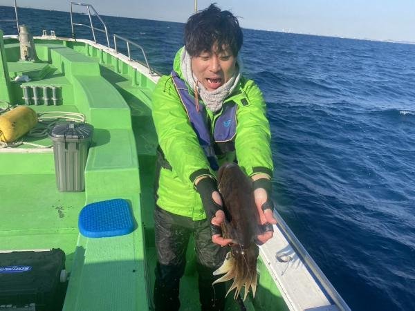 モンゴウ(カミナリイカ)