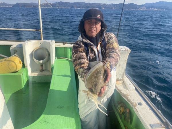 モンゴウ(カミナリイカ)