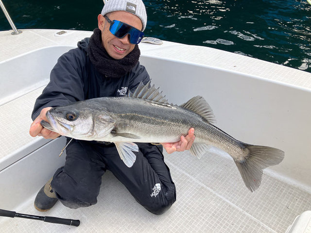 シーバス(スズキ)