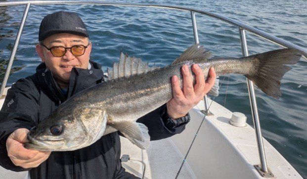 シーバス(スズキ)