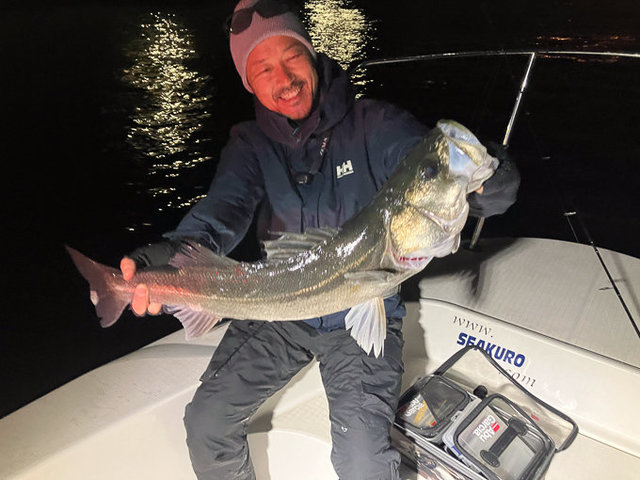 シーバス(スズキ)