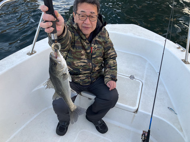 シーバス(スズキ)