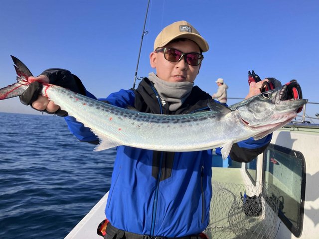 サゴシ(サワラ)